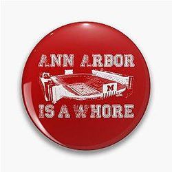 Ann Arbor Michigan Pin