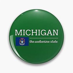 MICHIGAN State with Flag Pin