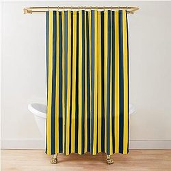 Michigan Shower Curtain