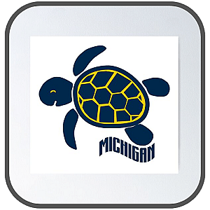 Michigan Wolverines Posters