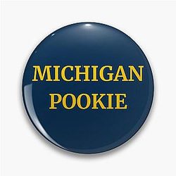 Michigan Pin