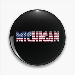 Michigan State Pin