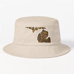 Michigan Wolverines Hat