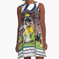 Michigan Daily A-Line Dress