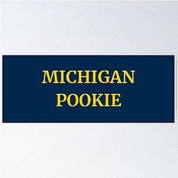 Michigan Poster