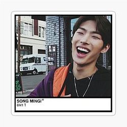 ATEEZ Mingi Pantone Sticker
