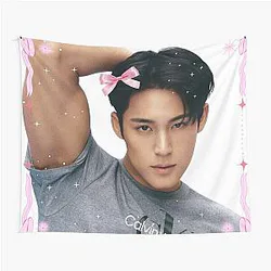 Kpop Mingyu Seventeen Coquette Tapestry