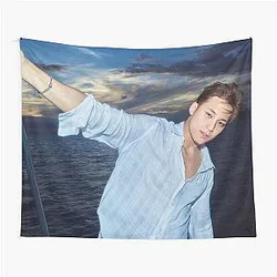 Co Mingyu and Seventeen Kpop Tapestry