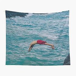 CXM Mingyu and SCoups - Hype Vibes (SEVENTEEN K-POP) Tapestry