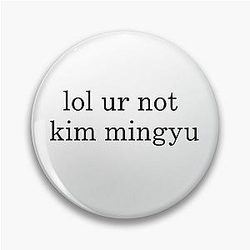 ur not kim mingyu