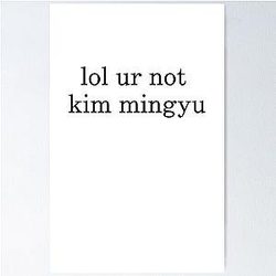 Lol Your not Kim Mingyu Poster