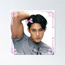 Kpop Mingyu Seventeen Coquette Poster