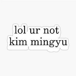 Kim Mingyu Sticker