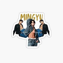 Mingyu K Pop Fanart Inspired by SEVENTEEN Sticker