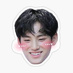 Kim Mingyu Sticker