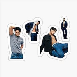 SEVENTEEN KIM MINGYU CALVIN KLEIN STICKER SET KPOP SVT CARAT