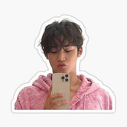 Mingyu iPhone Sticker