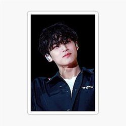 Seventeen Mingyu Sticker