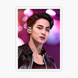Seventeen Mingyu Sticker