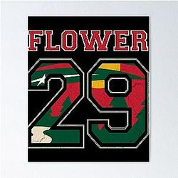 Art - Minnesota Wild