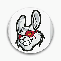 Misfits Gaming fields the Florida Mayhem Misfits Gaming Pins