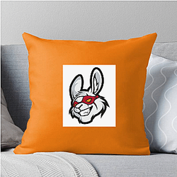 Misfits Gaming fields the Florida Mayhem Misfits Gaming Pillows Cover