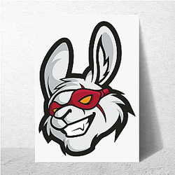 Misfits Gaming fields the Florida Mayhem Misfits Gaming Posters