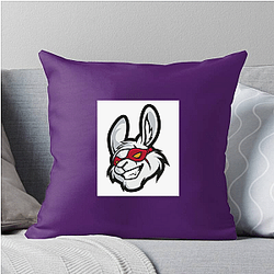 Misfits Gaming fields the Florida Mayhem Misfits Gaming Pillows Cover