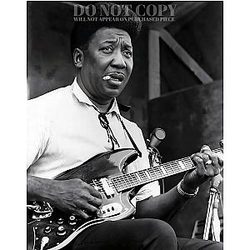 Muddy Waters Photograph 8 X 10 - Magnificent Live Portrait - The Blues - Legendary American Music - Historic Concert in the Sixties with Electric Guitar - Rare Poster Print