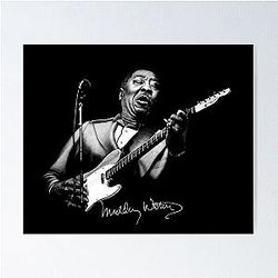 Muddy Waters Poster