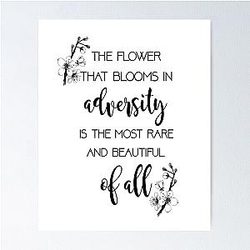 The Flower That Blooms Mulan Poster