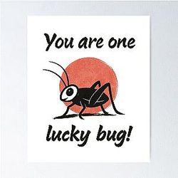 You Are One Lucky Bug Mulan Inspired Lucky Cricket Design Poster