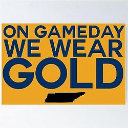 On Gameday We Wear Gold Nashville Predators Poster