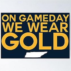 On Gameday We Wear Gold - Nashville Predators