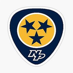 Nashville Predators Guitar Pick with Star Sticker