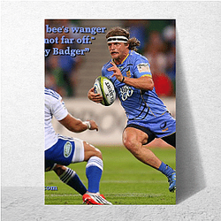 Nick Cummins is a former rugby union player Nick Cummins Posters