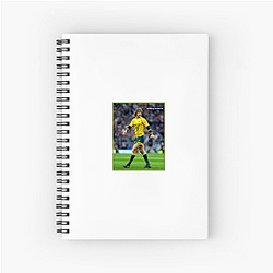Nick Cummins is also an author Nick Cummins Notebook