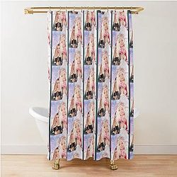 Nicki Minaj - Pink Friday Curtain