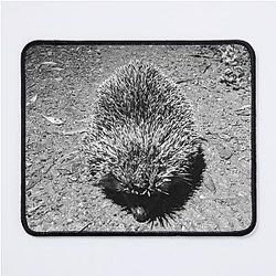 Nightcrawler Mouse Pad