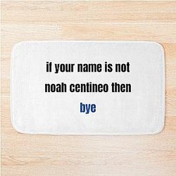 If your name is not Noah Centineo then bye Bath Mat