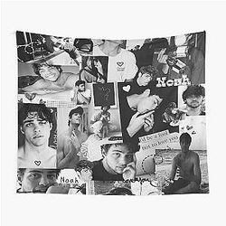 Noah Centineo black and white picture collage