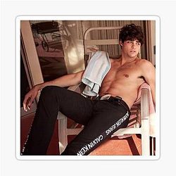 Copy of Noah Centineo Sticker