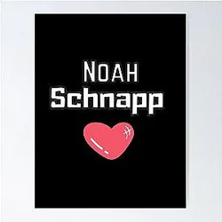 Noah Schnapp Poster