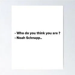 Noah Schnapp Poster