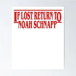 If Lost Return to Noah Schnapp Poster