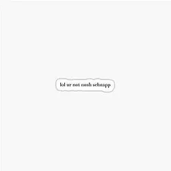 Not a Noah Schnapp Sticker