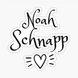 Noah Schnapp Sticker