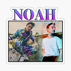 Noah Schnapp Retro T-Shirt Design Stranger Things Sticker