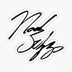 Noah Schnapp sticker
