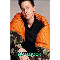 Noah Schnapp Notebook. Notebook/ Journal For Fans. Men, Boys, Women, Girls And Kids